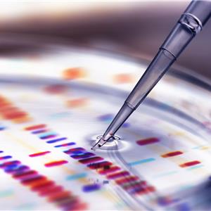 Product 4 era of intelligent security products, what to think about?