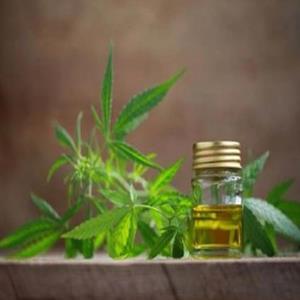 Hemp CBD Oil tincture