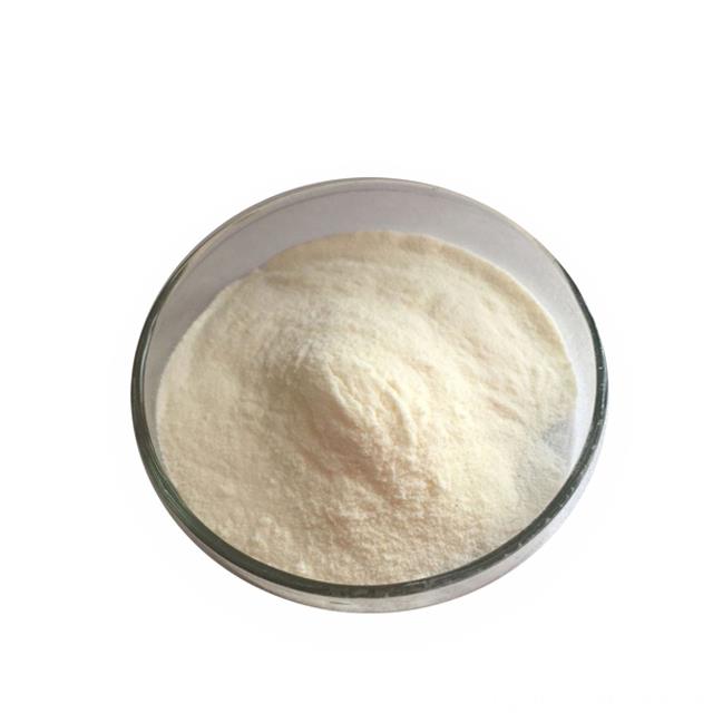 Natural Orange Flavour Powder Pure Orange Juice Powder