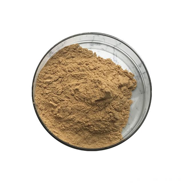 Reliable Factory Supply Ziziphus Jujube Extract Jujuboside