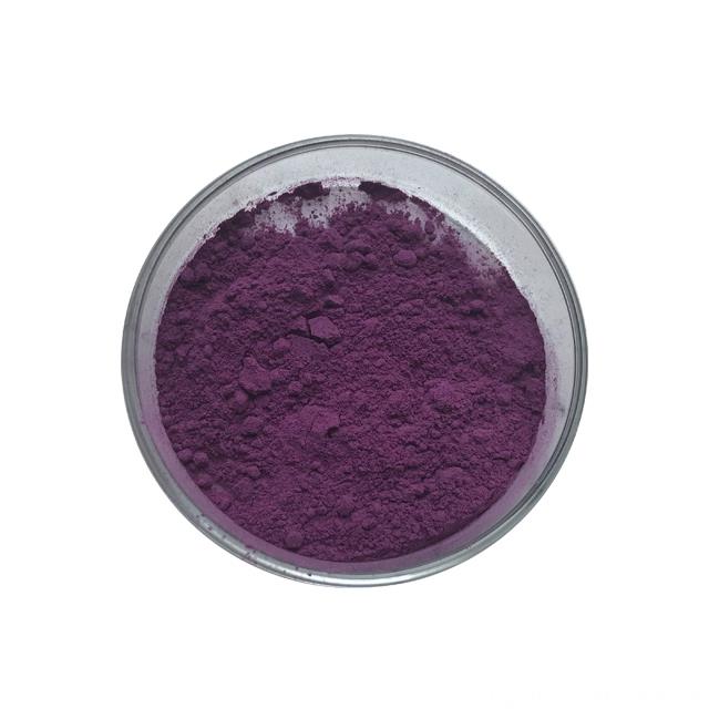 ISO Factory Blackcurrant Juice Powder Blackcurrant Powder
