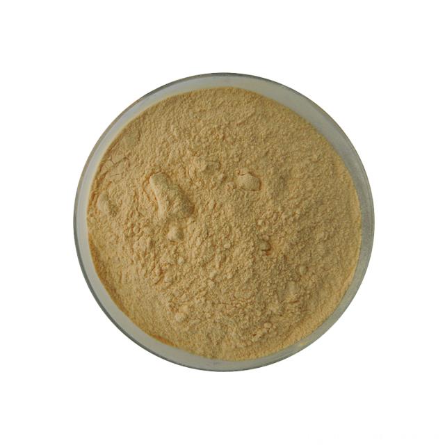 Best Price Natural Pumpkin Seed Powder Bulk