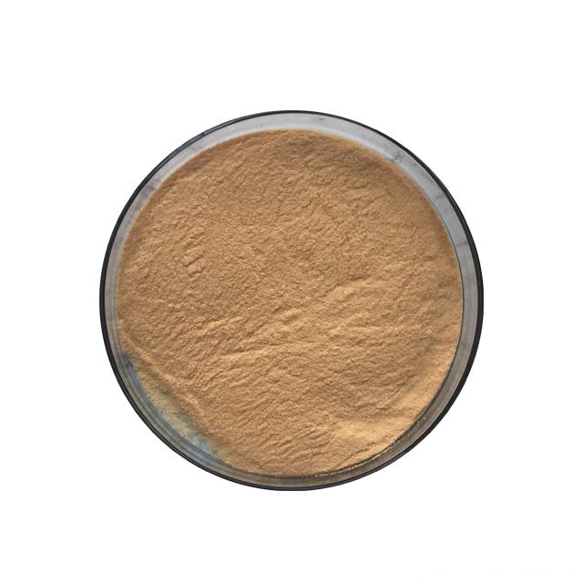 Factory Hot Sell Papaya Powder/Papaya Fruit Powder/Organic Papaya Powder