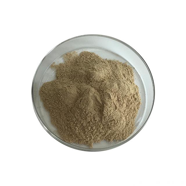 Longyu Natural Ziziphus Jujuba Extract Jujuboside