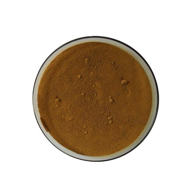 ISO/SGS Manufacturer Directly Supply Gymnema Sylvestre Extract