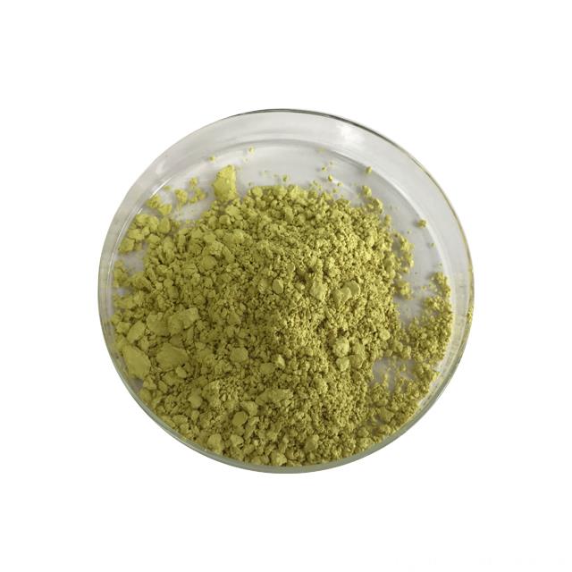 Large Stock Of Natural Extract Myricetin