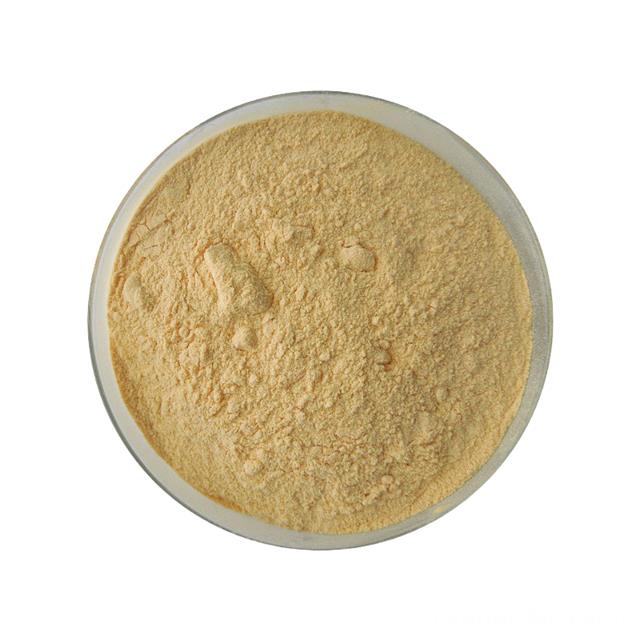 ISO Factory Provide Buckwheat Extract