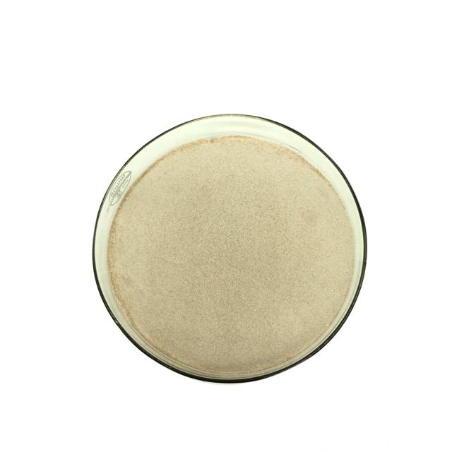 Enzyme Drink Powder Natural Noni Enzyme