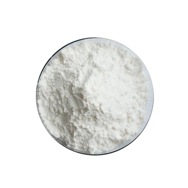 Highest Activity Probiotic Lactobacillus Paracasei