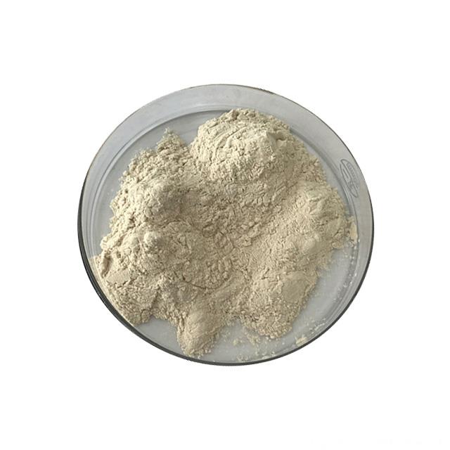 Supply Food Ingredients Yeast Extract Enzyme