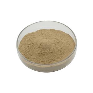High Content Bacillus Coagulans Probiotic