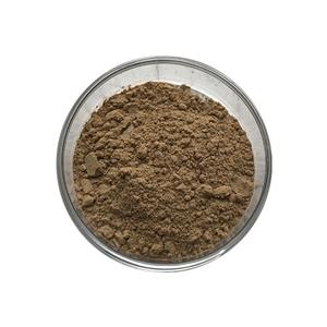 Agricultural fertilizer/Planting/Soil Probiotics Bacillus Pumilus