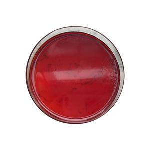 Hot Selling Liquid Krill Oil In Bulk