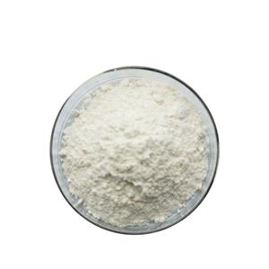 Pharmaceutical Excipient Good Quality Sodium Stearyl Fumarate