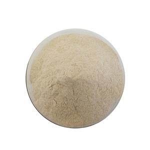 Food Grade Digestive Enzyme