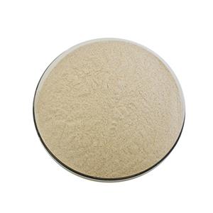 ISO & SGS Certified Serrapeptase Powder Enzymes