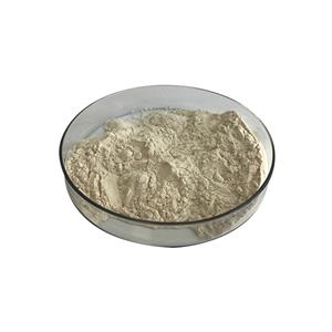 Health Supplement Good Quality Selenium Enriched Yeast