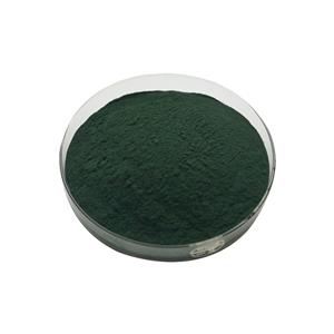 Longyu Supply High Quality Sodium Magnesium Chlorophyllin