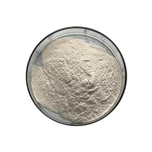 Favorable Amylase Enzyme Price