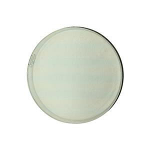 Longyu Provide Hot Sale Enzyme Products Papain