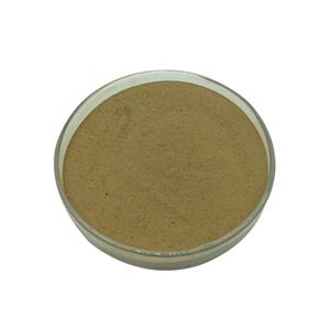 Bulk Stock for Probiotics Bacillus Subtilis