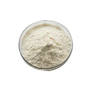 Most Favorable Laccase Enzyme Price