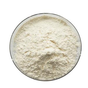 ISO Factory Supplier Provide Laccase