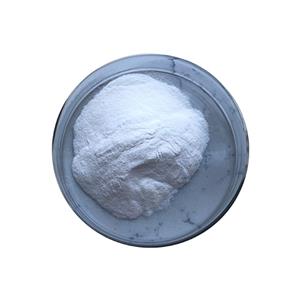 Well Bacteriostatic Action Bifidobacterium Lactis